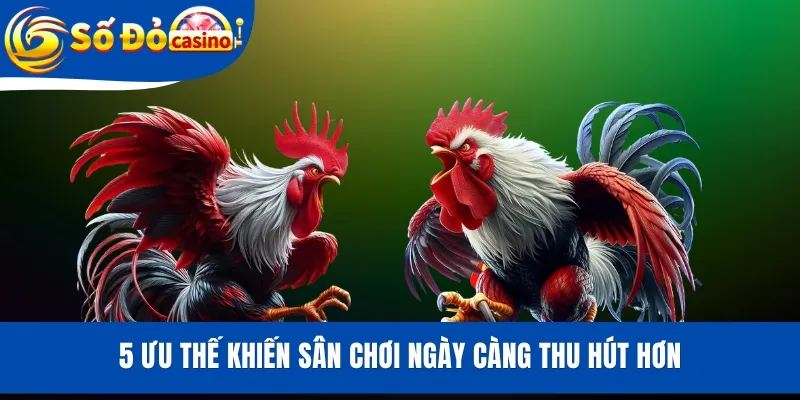 5 Ưu thế khiến sân chơi ngày càng thu hút hơn