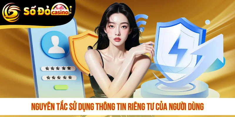 Nguyên tắc sử dụng thông tin riêng tư của người dùng